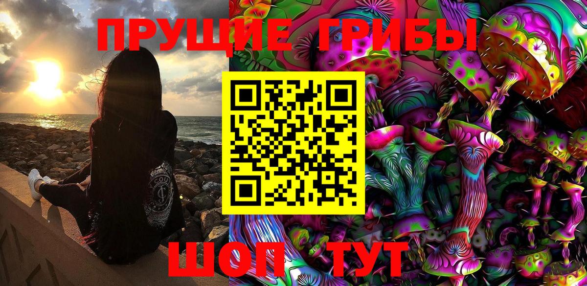 Псилоцибиновые грибы GOLDEN TEACHER Коломна