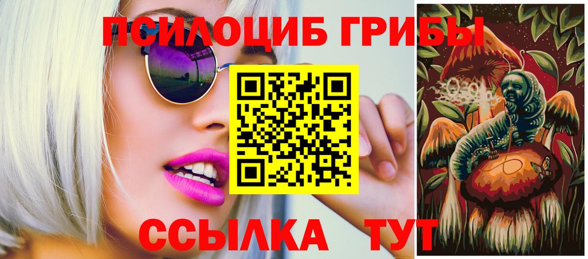 Псилоцибиновые грибы прущие грибы  Псилоцибиновые грибы Psilocybe  Коломна  Вход с VPN 